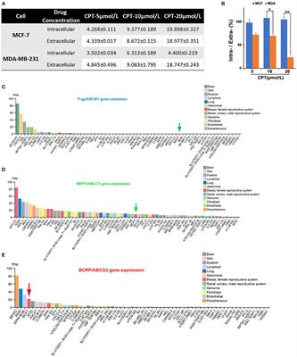 Cryptotanshinone Inhibits ERα-Dependent and -Independent BCRP Oligomer Formation to Reverse Multidrug Resistance in Breast Cancer